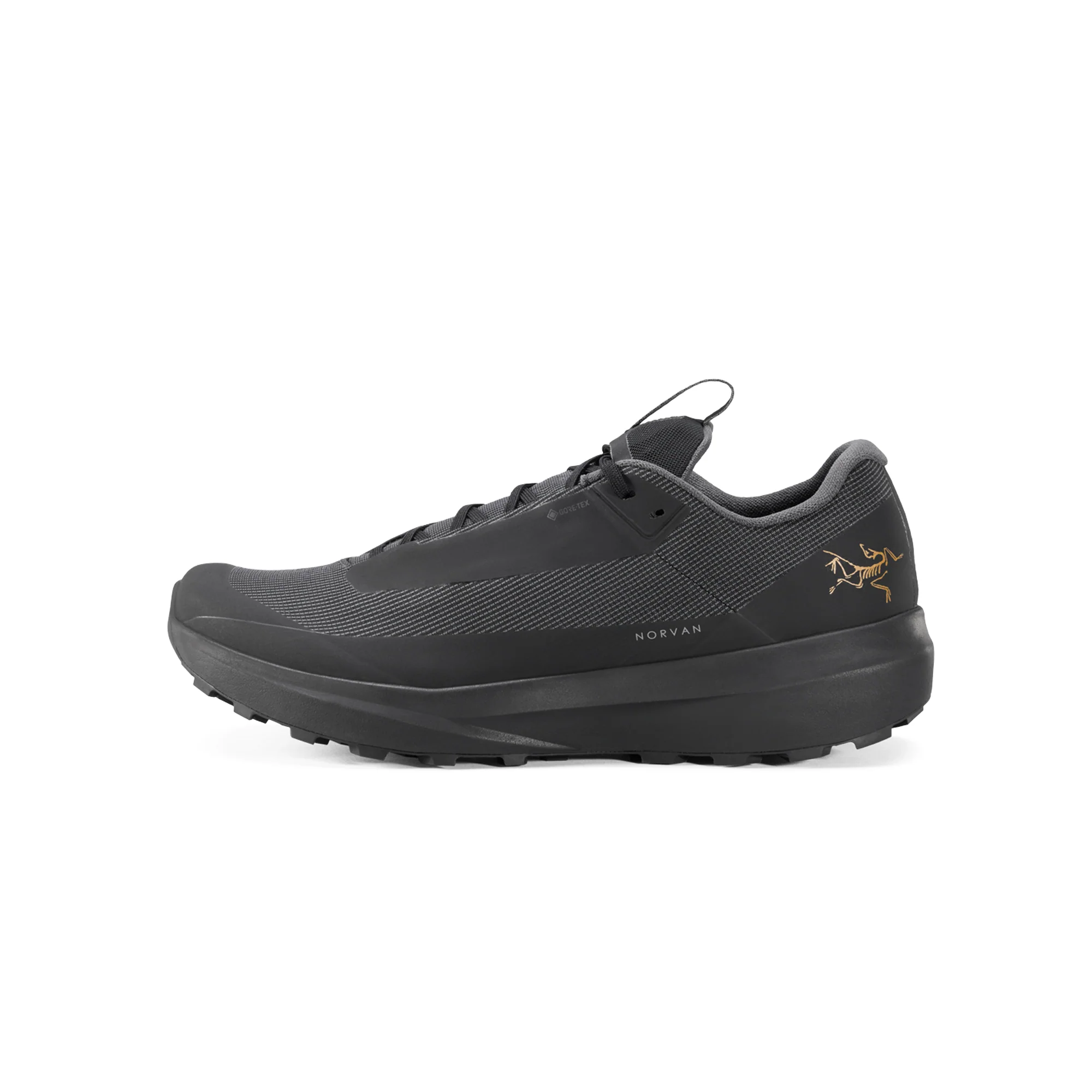 Arc'teryx Mens Norvan LD 4 GTX Shoes