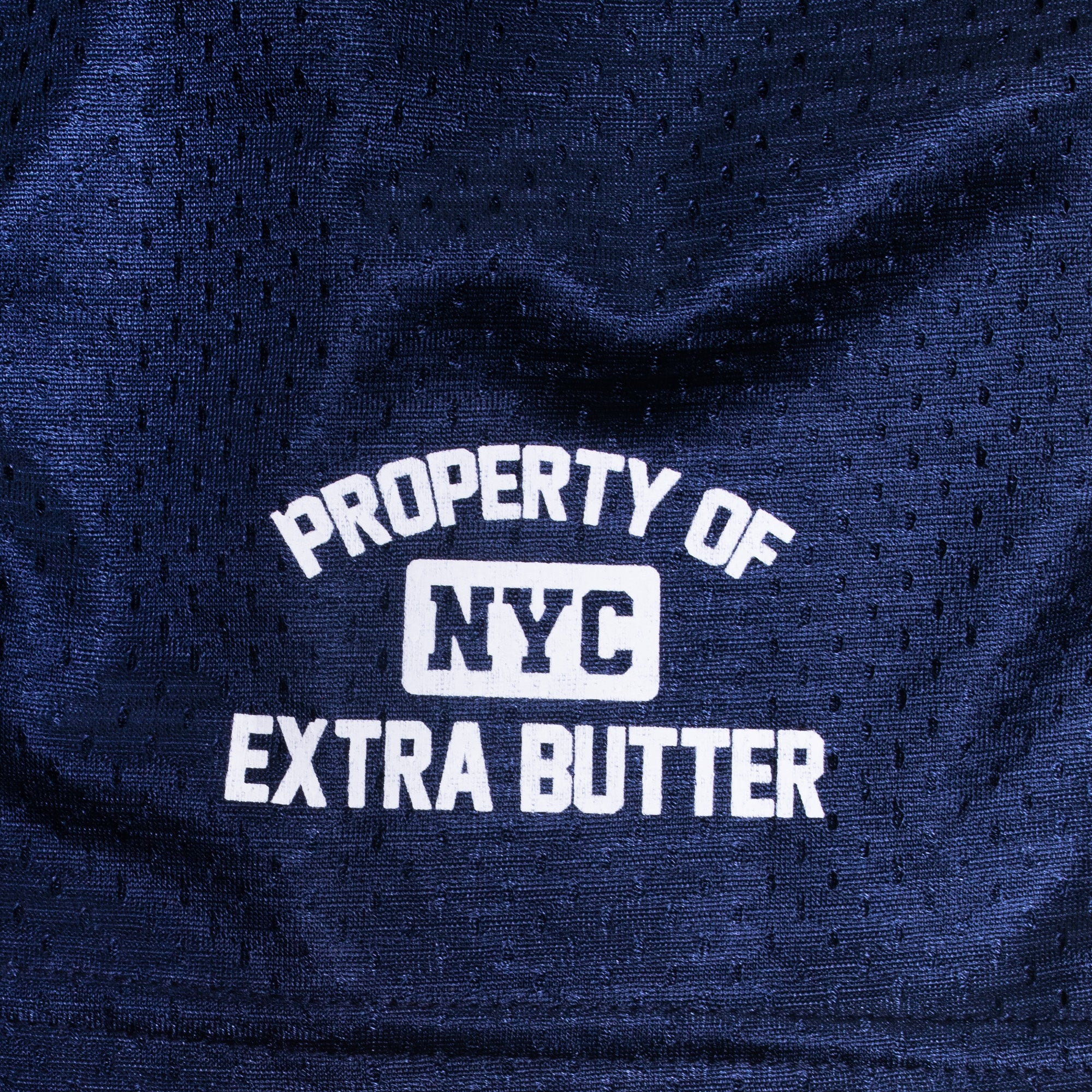 Extra Butter Athletic Dept Mesh Shorts - Image 2