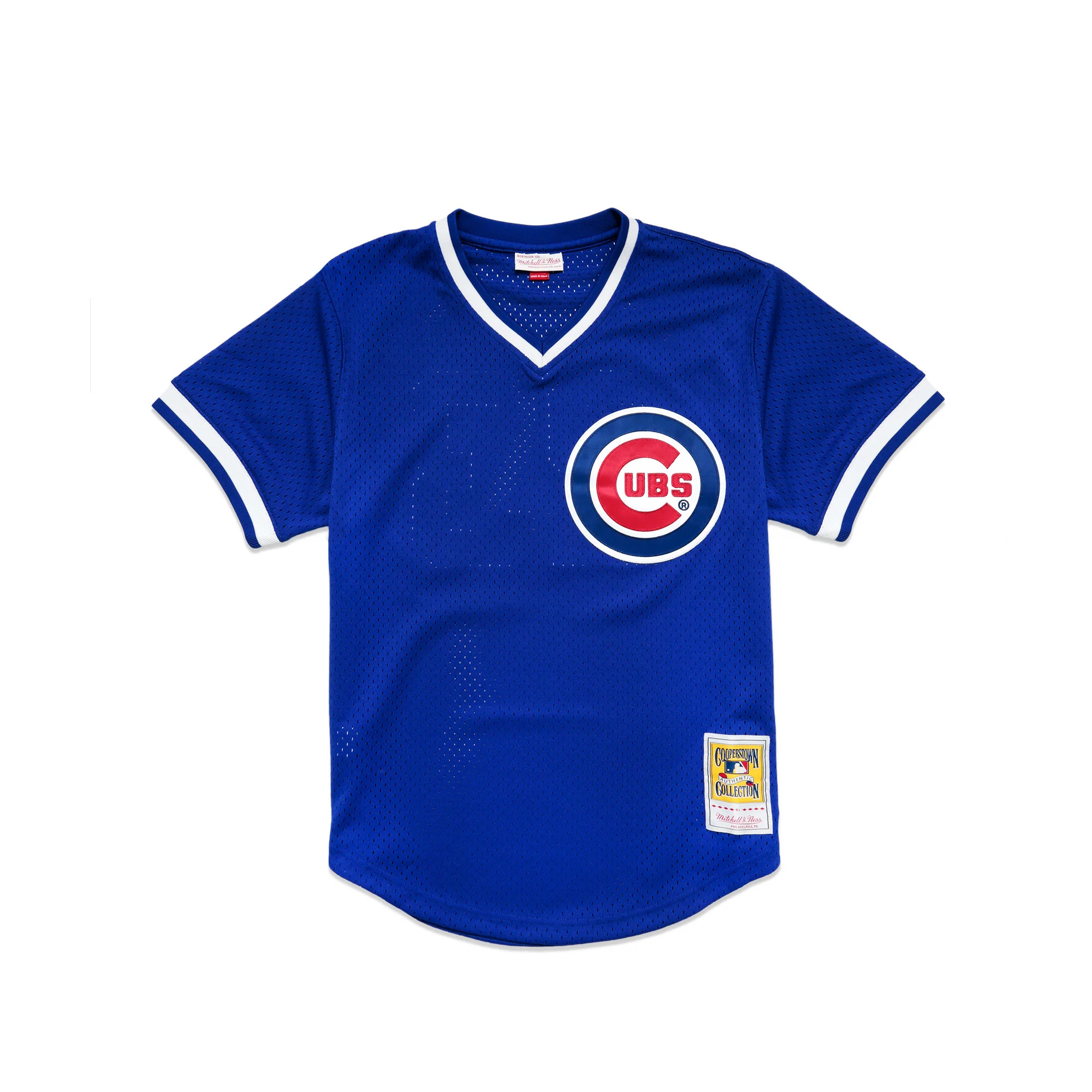 Mitchell & Ness Men's Ryne Sandberg Authentic Mesh BP Jersey - Royal