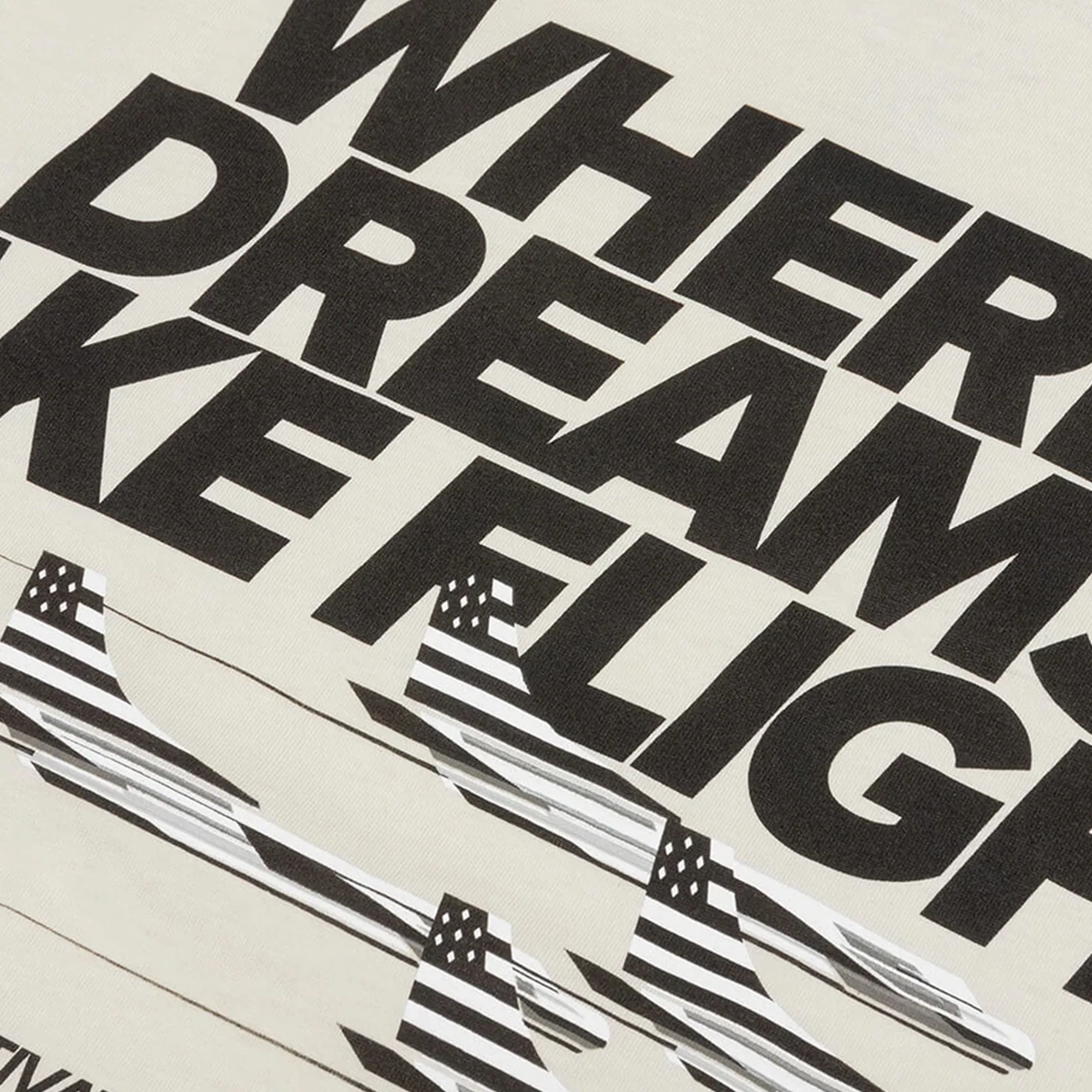Paper Plane Mens Dream Valley Oversized Tee 'Vapor' - Image 4
