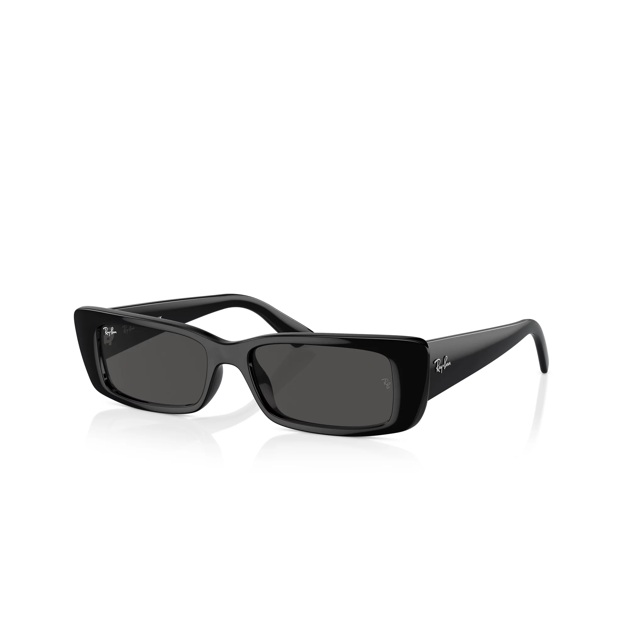 Ray-Ban Teru Black W/ Dark Grey Sunglasses - Image 2