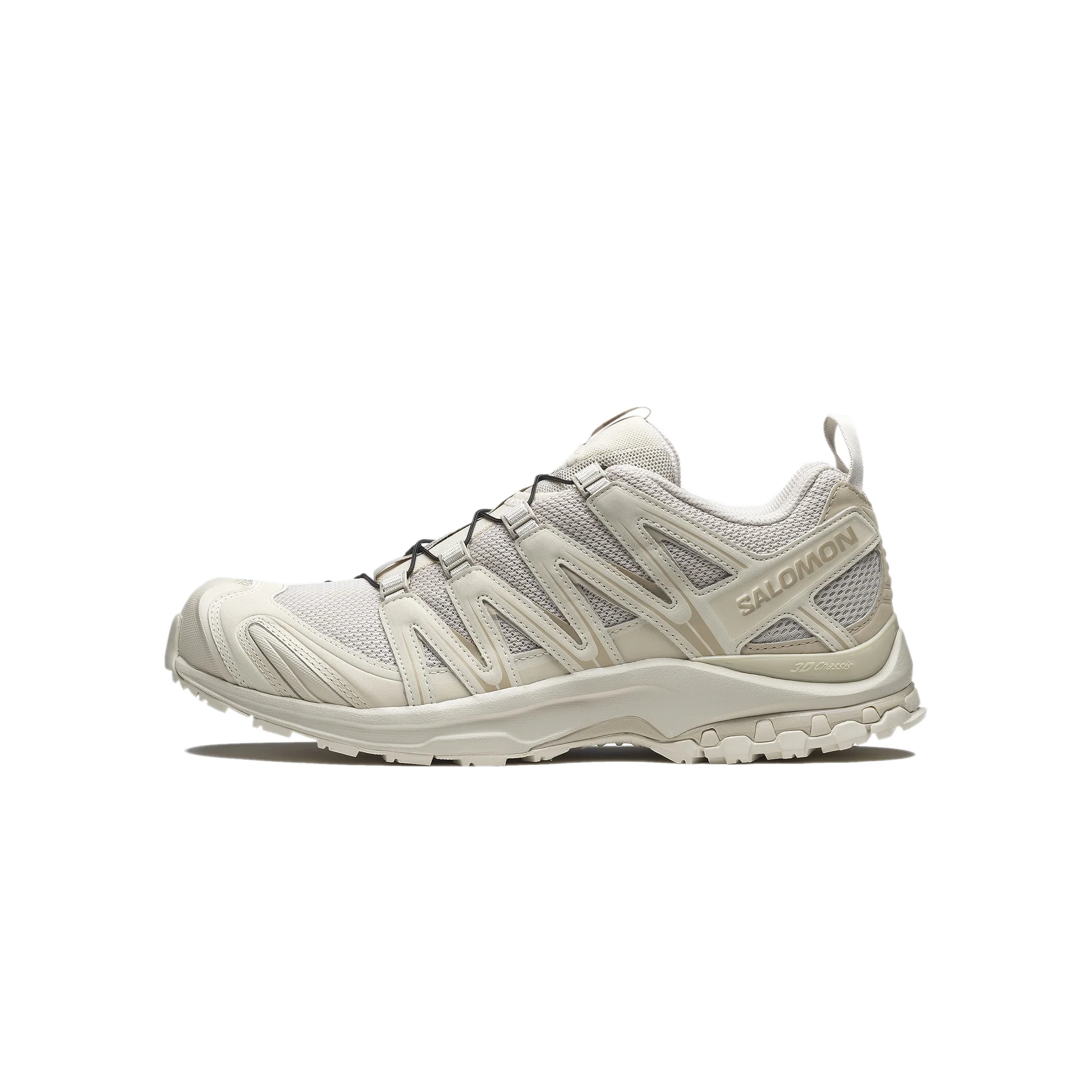 Salomon Mens XA Pro 3D Shoes